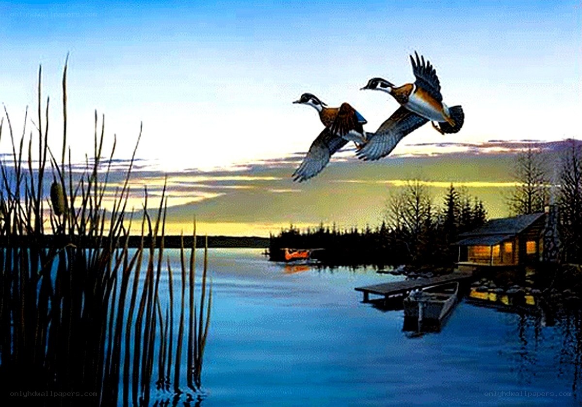 ducks flying over lake at sunset