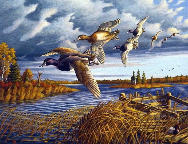 Ducks Flying over Lake — Blue, Dramatic, Autumn
