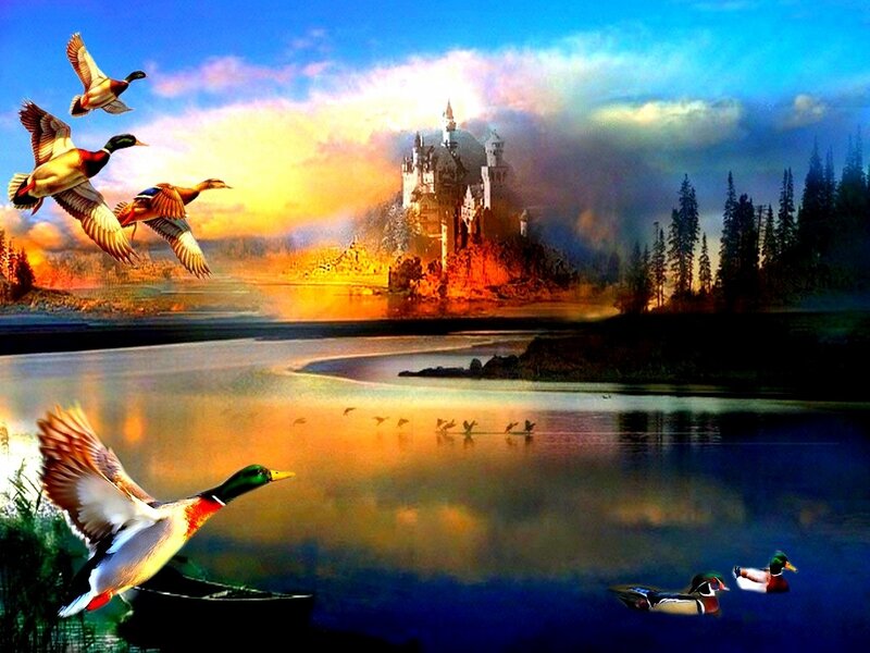 Ducks Flying over Lake — Blue, Dramatic