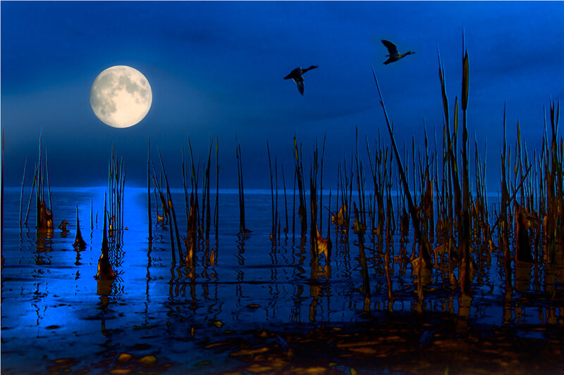 Ducks Flying over Lake — Blue, Serene, Night, Photograph