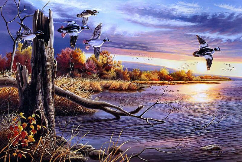 Ducks Flying over Lake — Blue