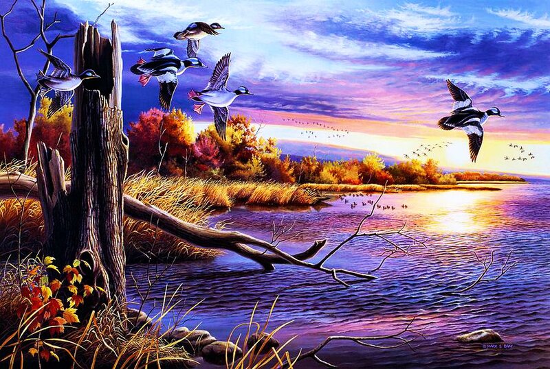 Ducks Flying over Lake — Purple