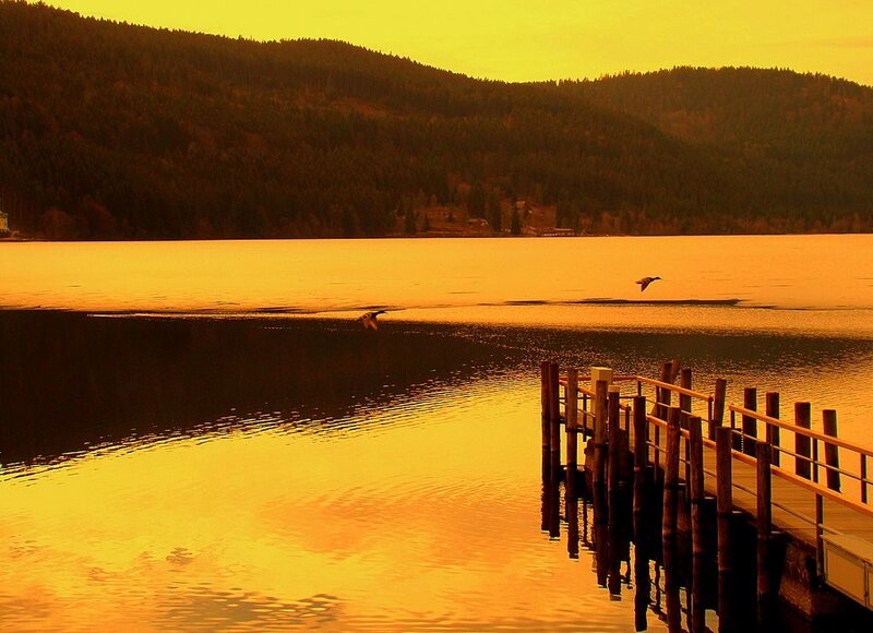 Ducks Flying over Lake — Yellow