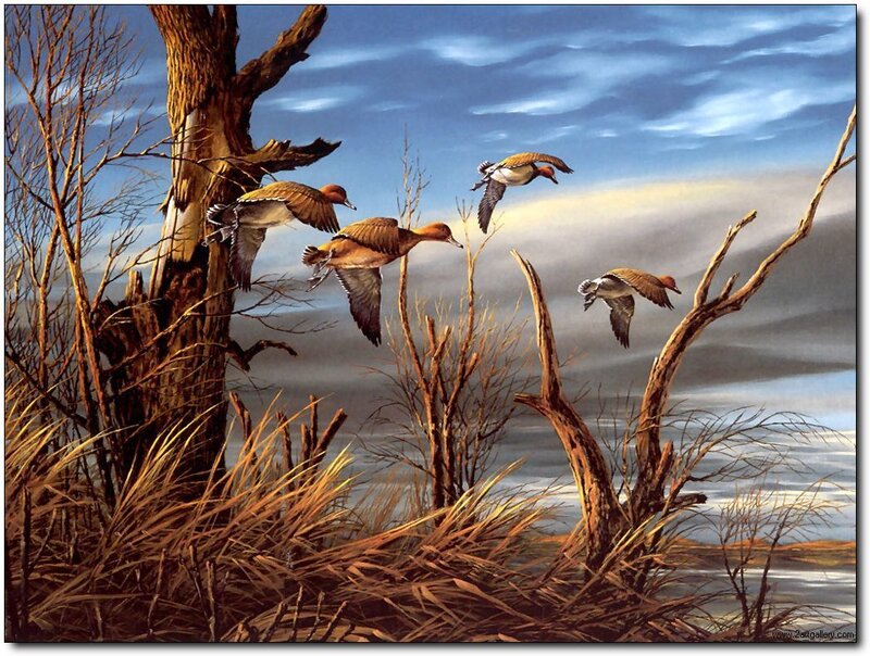 Ducks Flying over Marsh — Blue