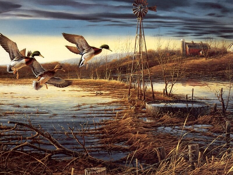 Ducks Flying over Marsh — Brown