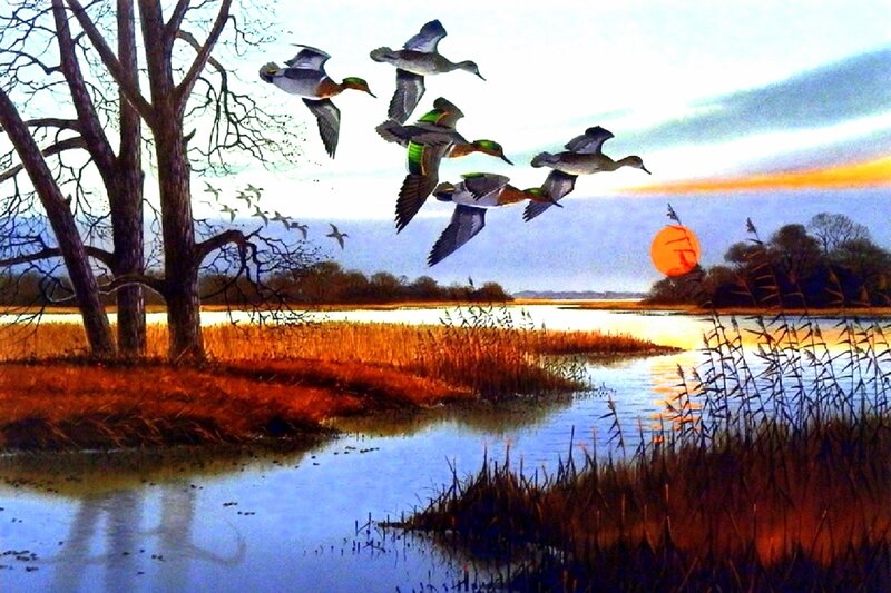 Ducks Flying over Marsh — Orange, Serene, Sunset