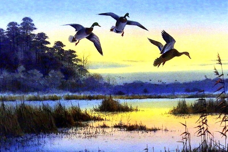 Ducks Flying over Marsh — Yellow