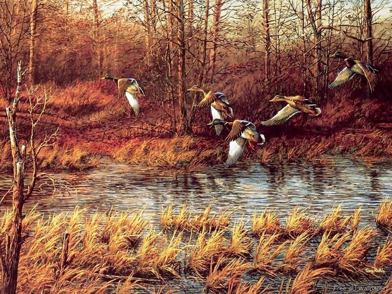 Ducks Flying over Pond — Brown