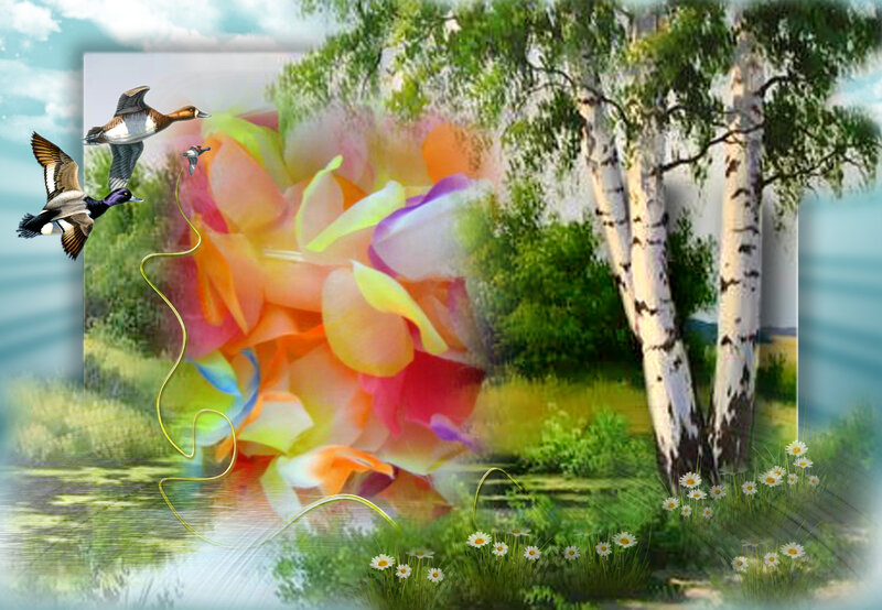 Ducks Flying over Pond — Green, Serene