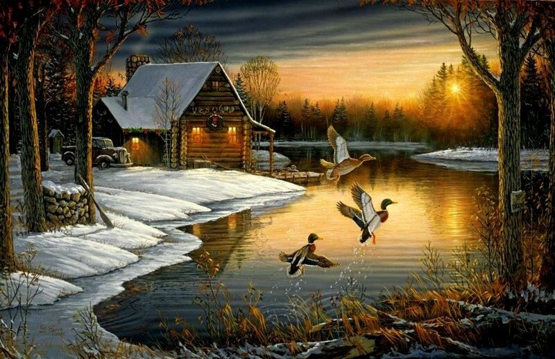 Ducks Flying over Pond