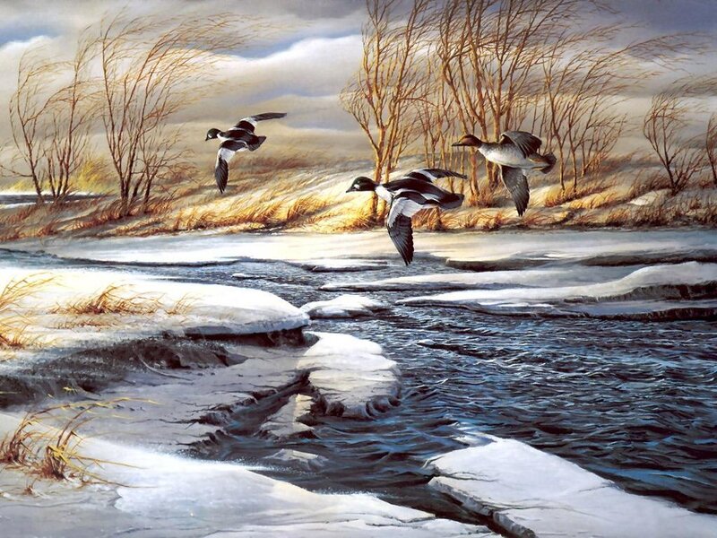 Ducks Flying over River — Blue