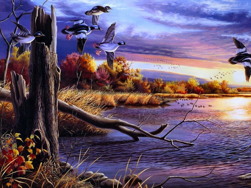 Ducks Flying over River — Purple