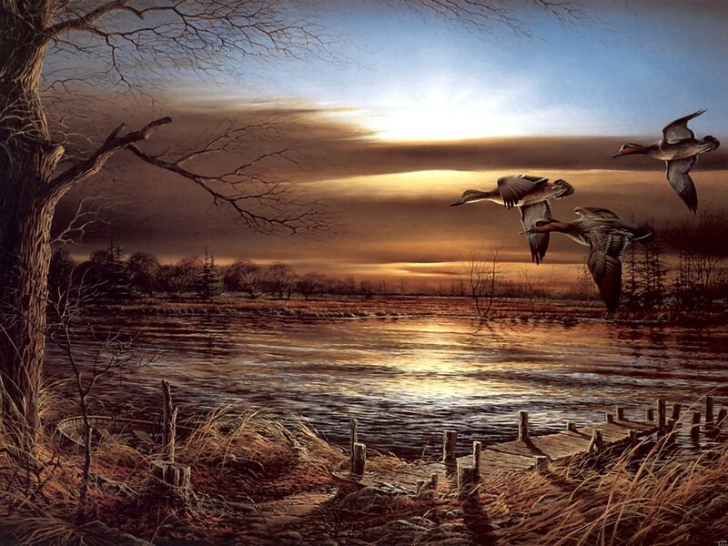 Ducks Flying over River