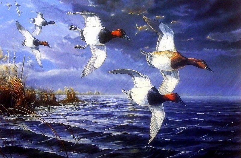 Ducks Flying over Water — Blue, Dramatic, Sunset