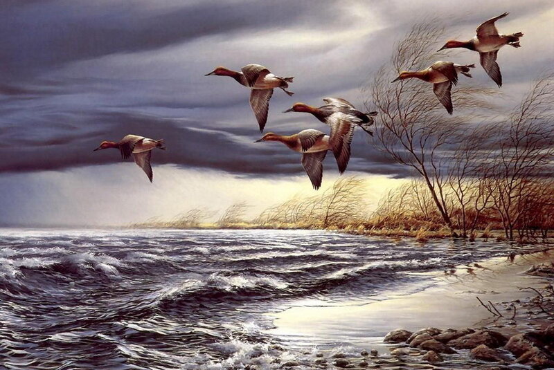 Ducks Flying over Water — Gray, Dramatic, Sunset