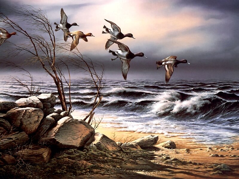 Ducks Flying over Water — Gray