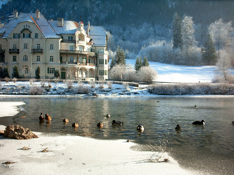 Ducks in a Lake — White