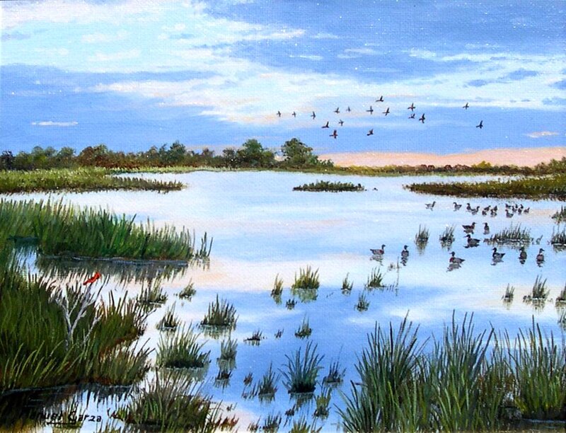 Ducks in a Marsh — Blue