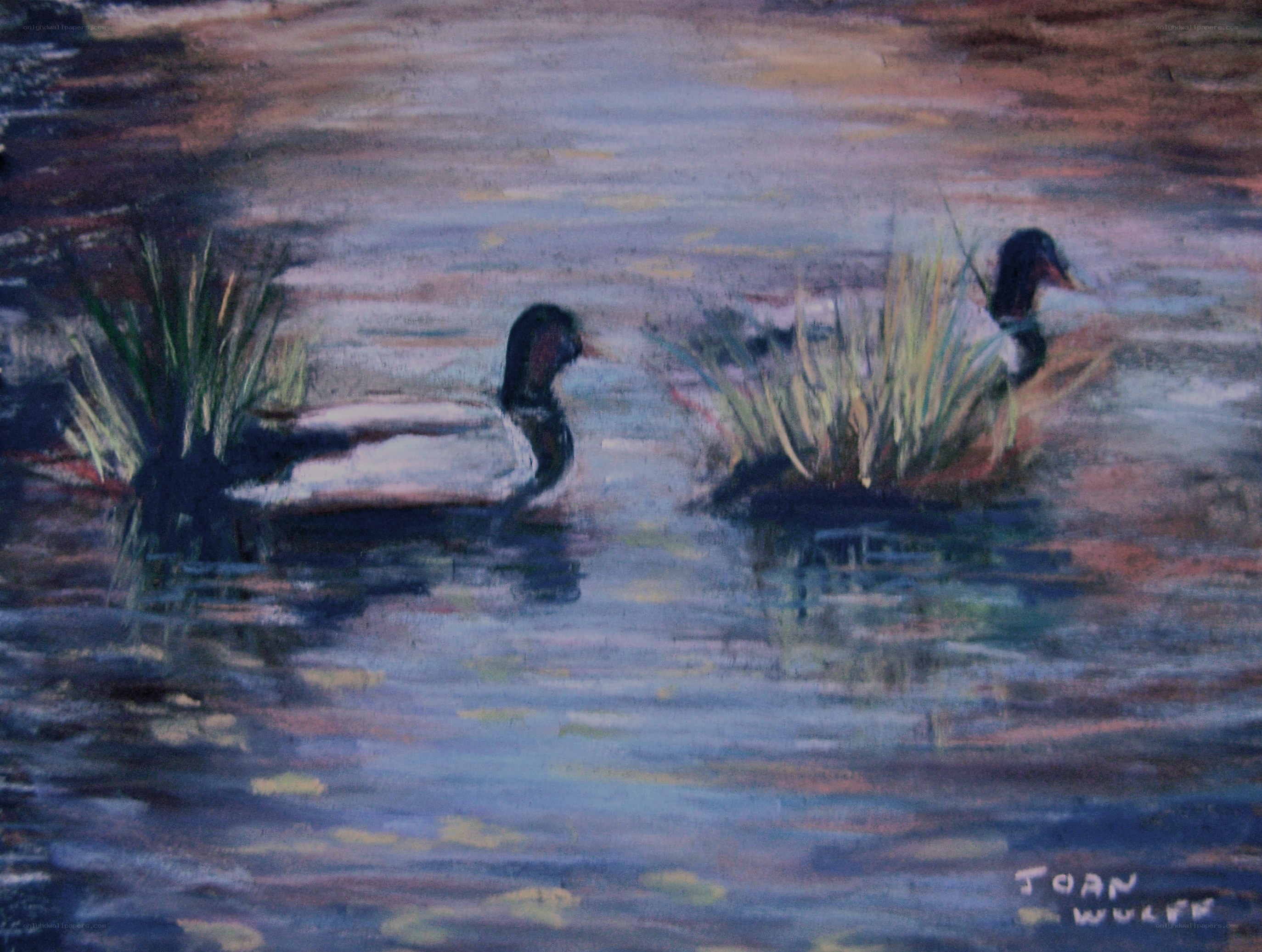 Ducks in a pond painting