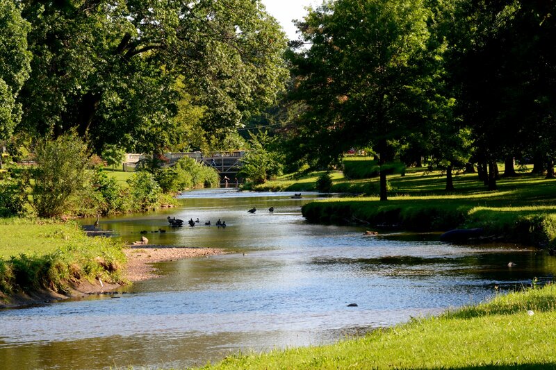 Ducks in a River — Green