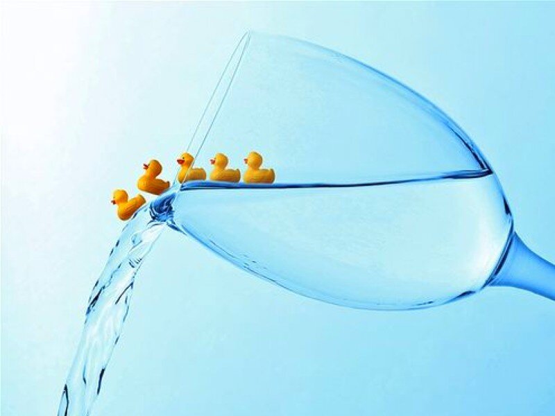 Ducks in a wine glass