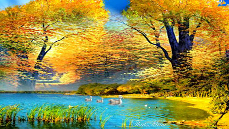 Ducks in Autumn Pond — Blue