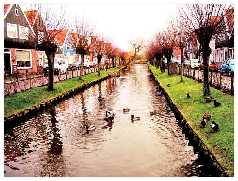 Ducks in Canal — Green