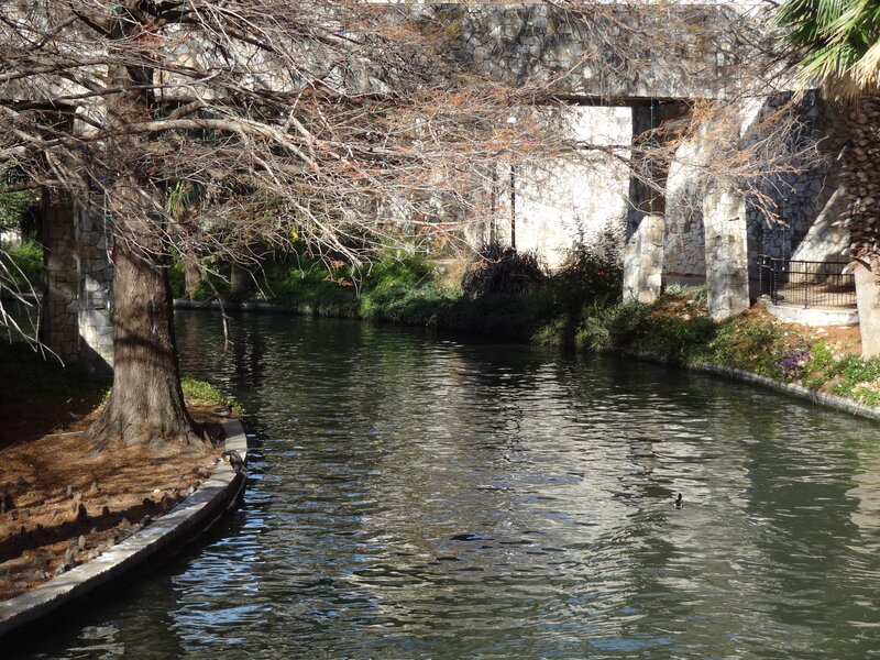 Ducks in Canal
