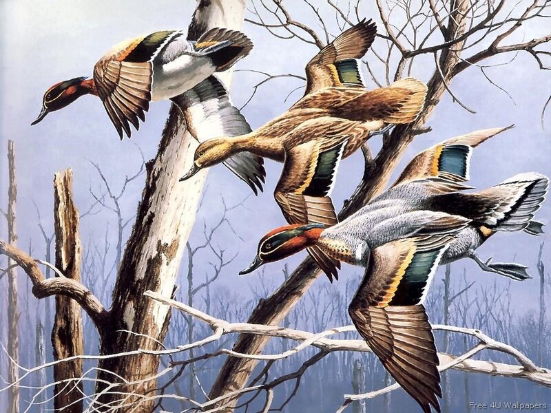 Ducks in flight among bare trees