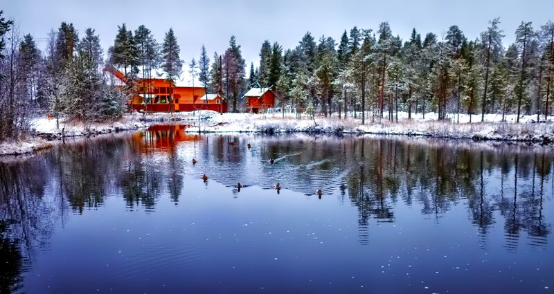 Ducks in Pond — Blue, Serene, Winter