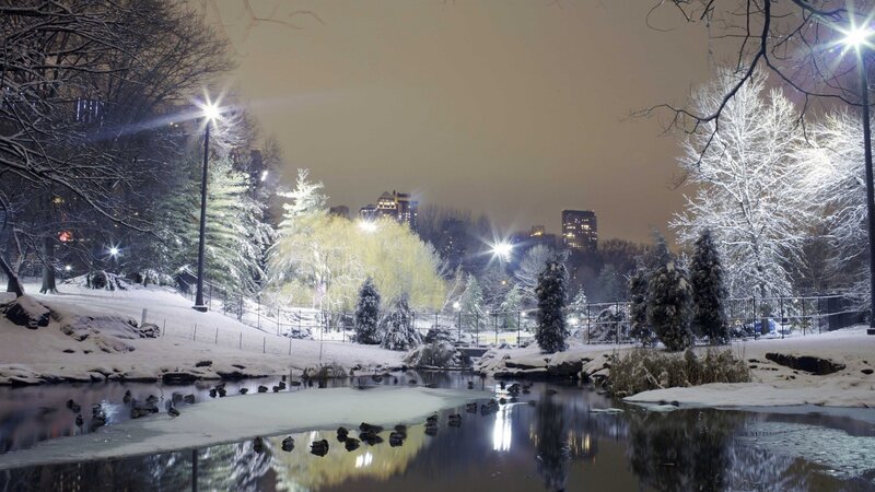 Ducks in Snowy Pond