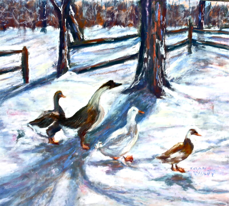 Ducks in the Snow