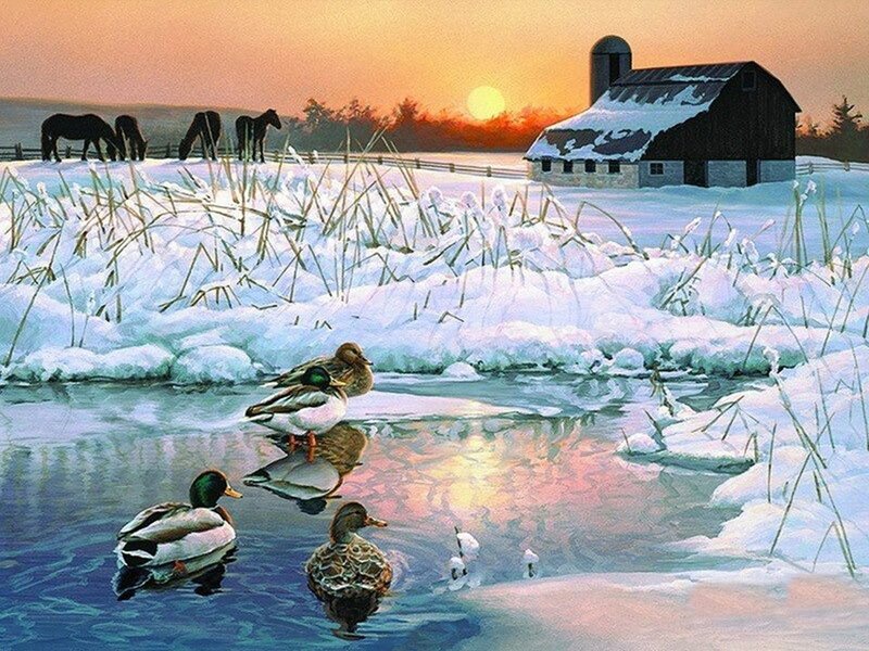 Ducks in Winter Pond