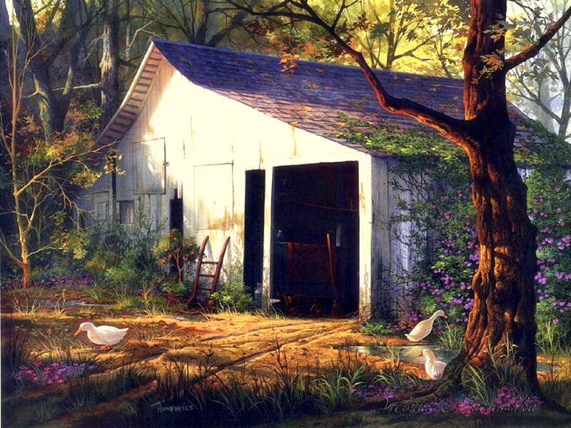Ducks Near Shed