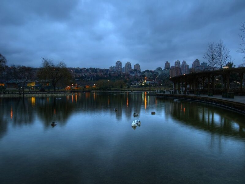 Ducks on a lake at dusk
