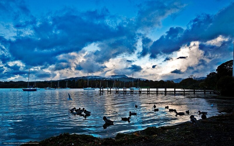 Ducks on a lake at dusk