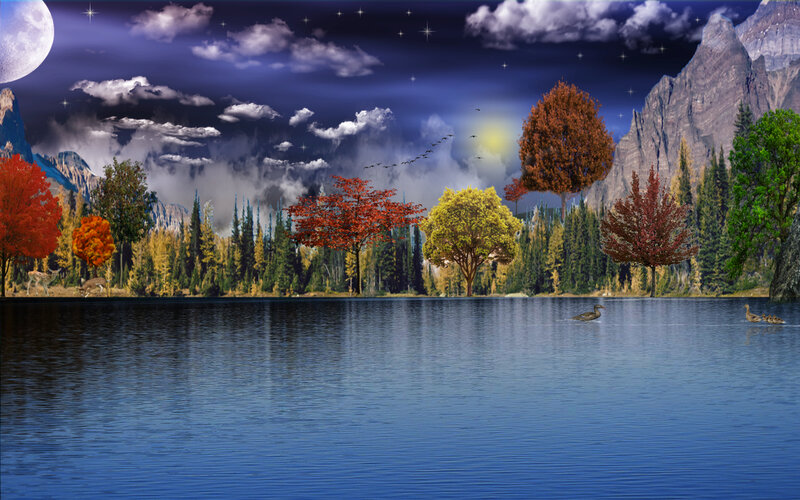 Ducks on a Lake — Blue, Serene, Night