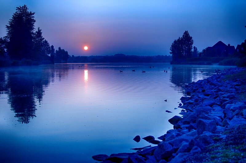 Ducks on a Lake — Blue, Serene, Sunset