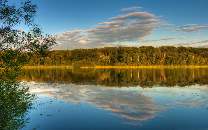 Ducks on a Lake — Blue, Serene