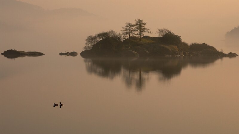 Ducks on a Lake — Brown