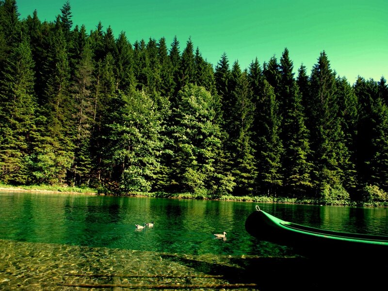 Ducks on a Lake — Green