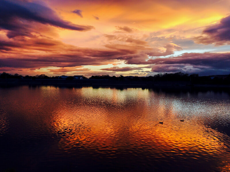Ducks on a Lake — Orange, Dramatic, Sunset