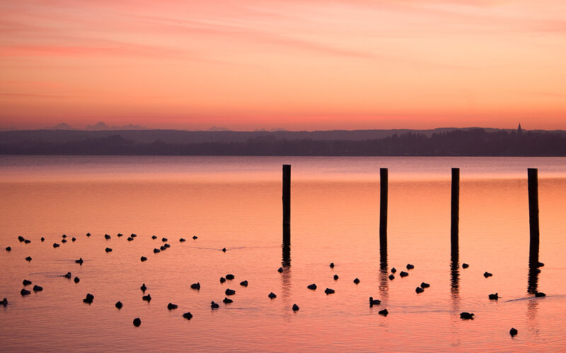 Ducks on a Lake — Orange, Serene, Sunset, Photograph, Posts, Mountains