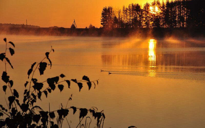 Ducks on a Lake — Orange, Serene, Sunset, Photograph