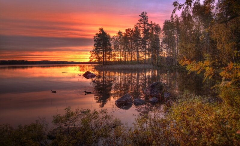 Ducks on a Lake — Orange, Serene, Sunset, Photograph, Trees, Rocks