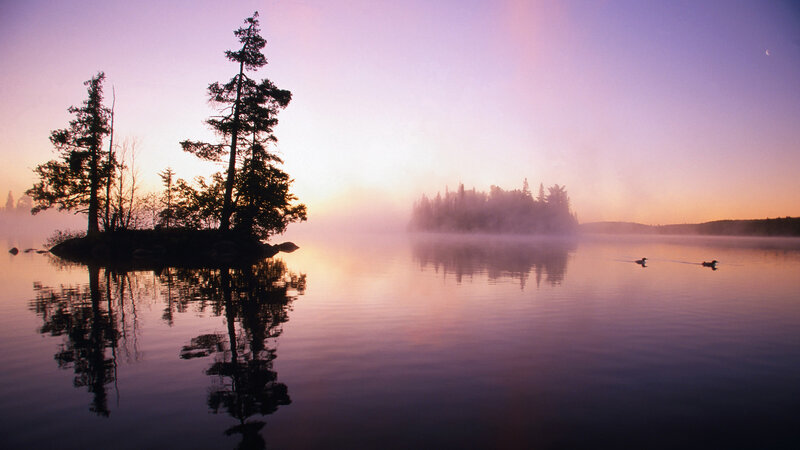 Ducks on a Lake — Purple, Serene, Sunrise