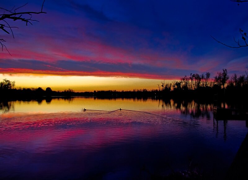 Ducks on a Lake — Purple, Serene