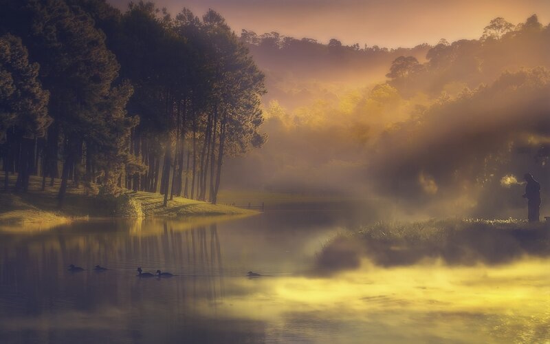 Ducks on a Lake — Yellow, Serene