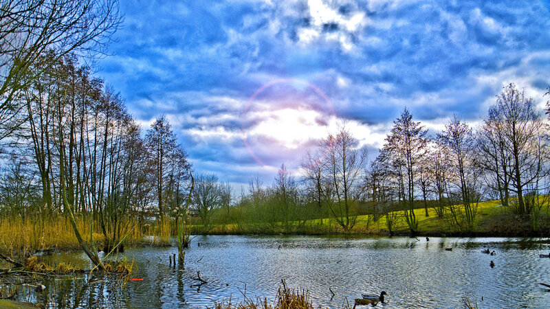 Ducks on a Pond — Blue, Dramatic