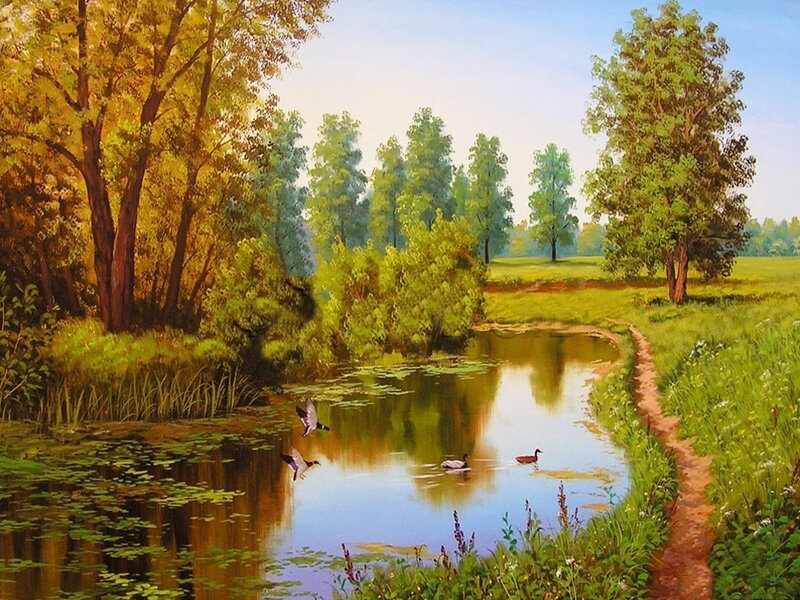 Ducks on a Pond — Green, Serene, Afternoon